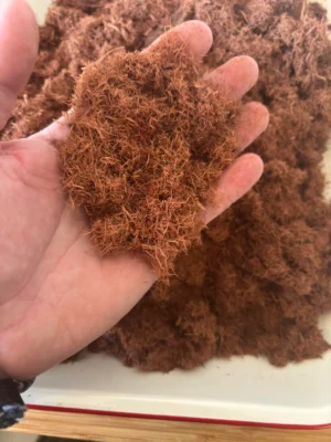 https://mimosasource.com/product/mexican-mimosa-hostilis-root-bark/